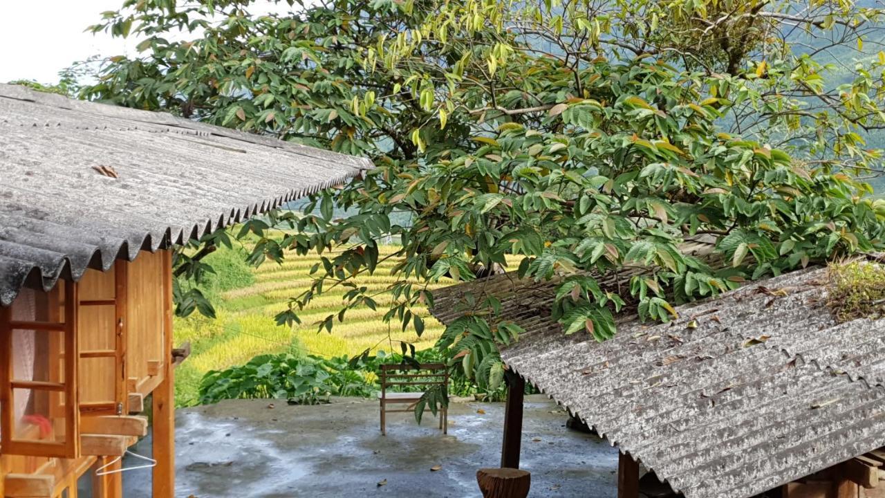 Апартаменты Hmong Sister House And Trekking Шапа Экстерьер фото